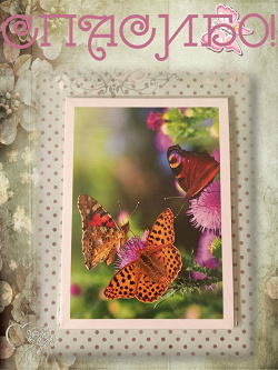 Отдается в дар «Набор открыток «Животный мир. Бабочки». Современные.»