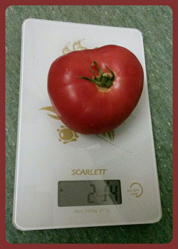 Отдается в дар «Весы кухонные SCARLETT SC-1212»