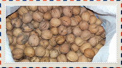 Отдается в дар «Грецкие орехи — 3,5 кг в шкарлупе прошлогодние.»