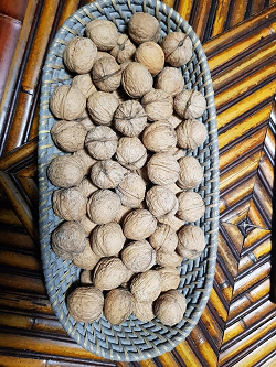 Отдается в дар «Грецкие орехи»