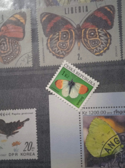 Отдается в дар «Бабочка. Почтовая марка Чехии. MNH. 2021.»