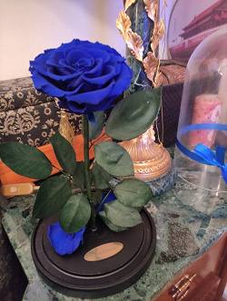Отдается в дар «Синяя роза в колбе.»