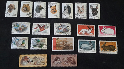 Отдается в дар «почтовые марки с собаками (часть 1)»