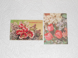 Отдается в дар «Двойные открытки с цветами (СССР)»