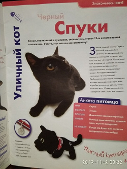 Отдается в дар «журнал The Cat collection. Спуки Черный кот.»
