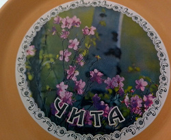 Отдается в дар «Тарелка настенная Чита диаметр 15 см»