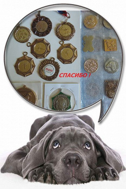Отдается в дар «Памятные медали с собачьей выставки»