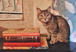 Отдается в дар «Книги на чешском языке»