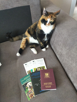Отдается в дар «Ветеринарные паспорта»