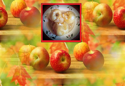 Отдается в дар «Яблоки на шарлотку 2-3 кг»