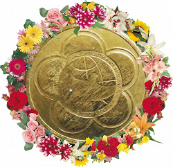 Отдается в дар «Сувенирная монета»