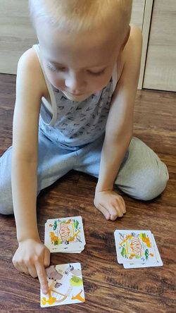 Отдается в дар «Игра детская 7+»