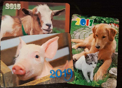 Отдается в дар «Карманные календарики с животными»