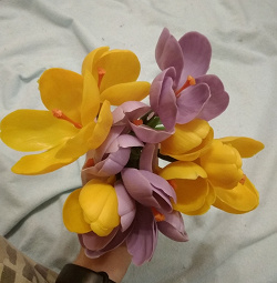 Отдается в дар «Крокусы — пластиковые искусственные цветы ритуального назначения»