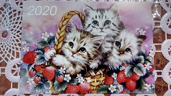 Отдается в дар «Карманные календарики Кошки»