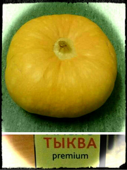 Отдается в дар «Тыква»