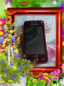 Отдается в дар «Samsung GT-S5230 La Fleur»