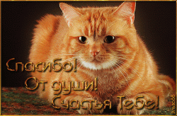 Отдается в дар «Одеяла»