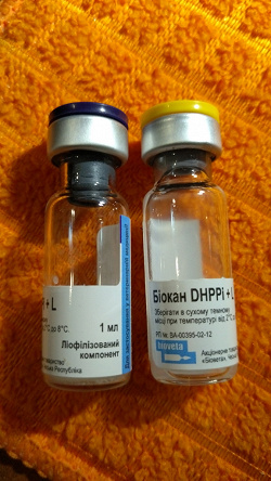 Отдается в дар «Вакцина для собак БИОКАН DHPP-L»