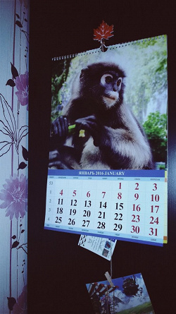 Отдается в дар «Календарь настенный на 2016 год»