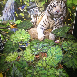 Отдается в дар «Пазл тигр 1000»