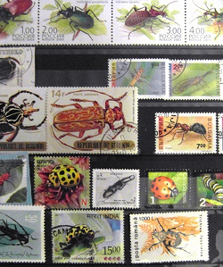 Отдается в дар «Фауна на почтовых марках всего мира.»