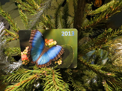 Отдается в дар «Календарь с бабочкой 2013г.»