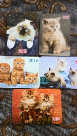 Отдается в дар «Календарики — кошки — на 2016 год»
