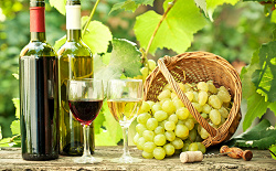 Отдается в дар «Mirabello lambrusco 1840»