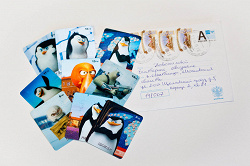 Отдается в дар «Картинки пингвинов»