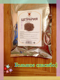 Отдается в дар «Исландский мох Цетрария»