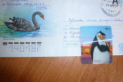 Отдается в дар «Карточки пингвины Мадагаскара»