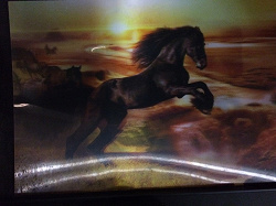 Отдается в дар «Переливающаяся картинка с лошадками»