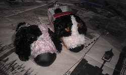 Отдается в дар «Журнал The dog collection»