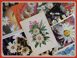 Отдается в дар «цветы на открытках»