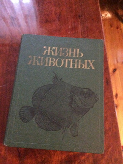 Отдается в дар «Книга энциклопедия о рыбах»