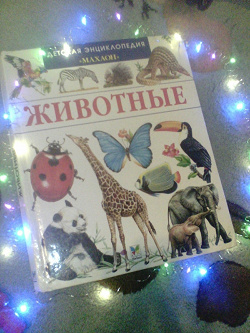 Отдается в дар «Книги для среднего школьного возраста (энциклопедии)»