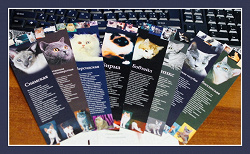 Отдается в дар «Закладки с фото и описанием породы котов»