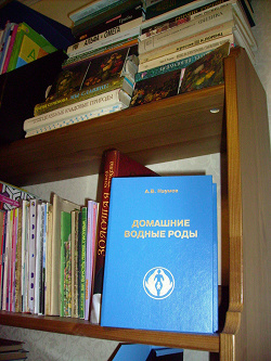 Отдается в дар «Книга Наумова А. В. «Домашние водные роды»»