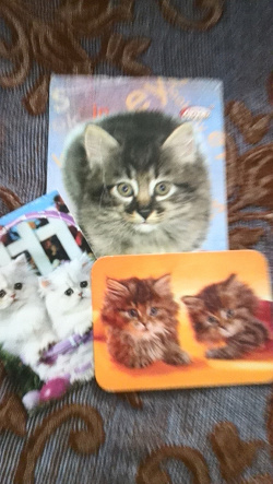 Отдается в дар «Календарики кошачьи»