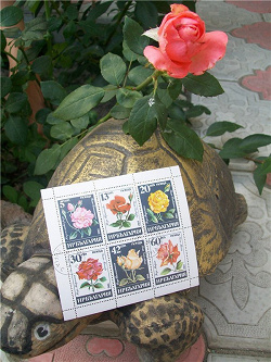 Отдается в дар «Блок марок «Розы»»