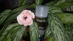 Отдается в дар «Phytogloss (усиление цвета и уход за волосами)»