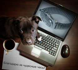 Отдается в дар «Мужские часы»