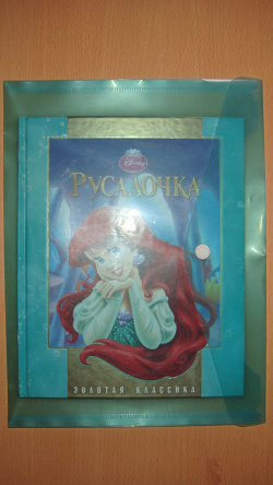 Отдается в дар «Пластиковая папка на кнопке»