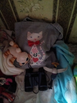 Отдается в дар «Сумочка тканевая с котиком.»
