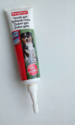Отдается в дар «Гель для зубов для собак»