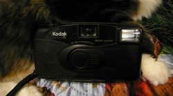 Отдается в дар «Фотоаппарат Kodak»
