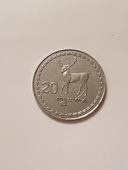 Отдается в дар «Грузинские монетки»