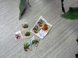 Отдается в дар «Почтовые марки Украины»