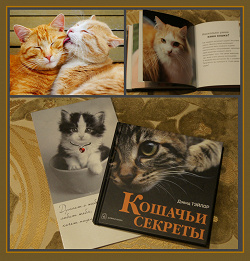 Отдается в дар «Книга Кошачьи секреты»